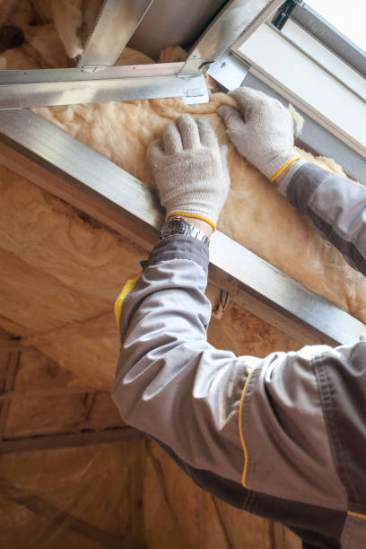 Best Insulation Maintenance and Repair in Longview Heights, WA