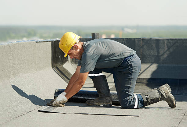 Professional Insulation Contractor in Longview Heights, WA